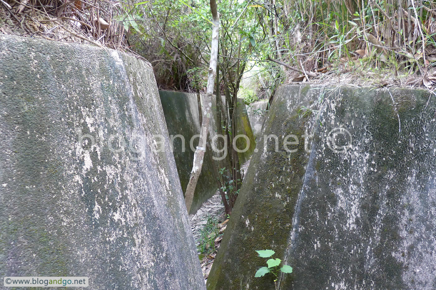 Shing Mun Redoubt - Oxford Street Trench